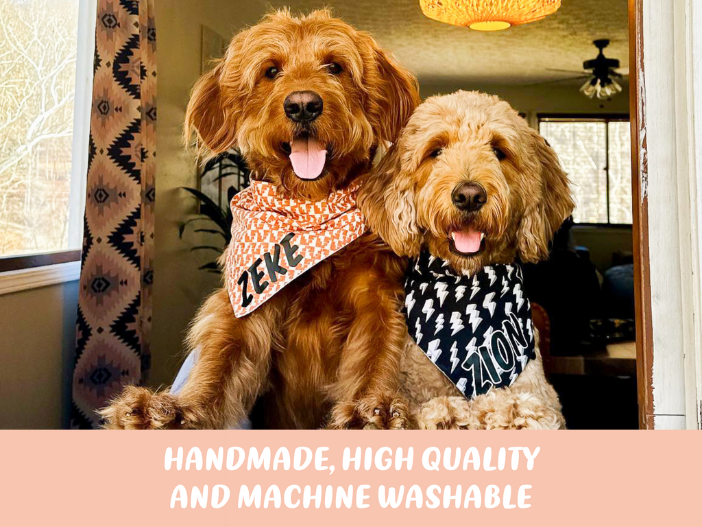 "Blush Hearts" Valentine's Day Dog Bandana
