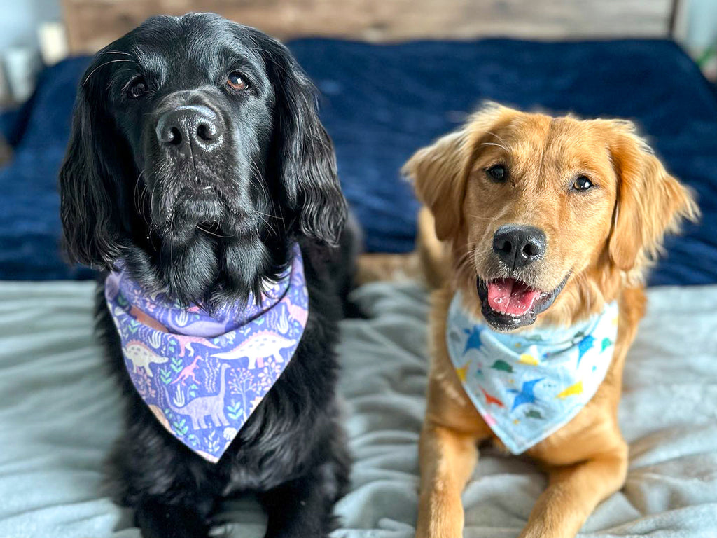 "Blush Hearts" Valentine's Day Dog Bandana