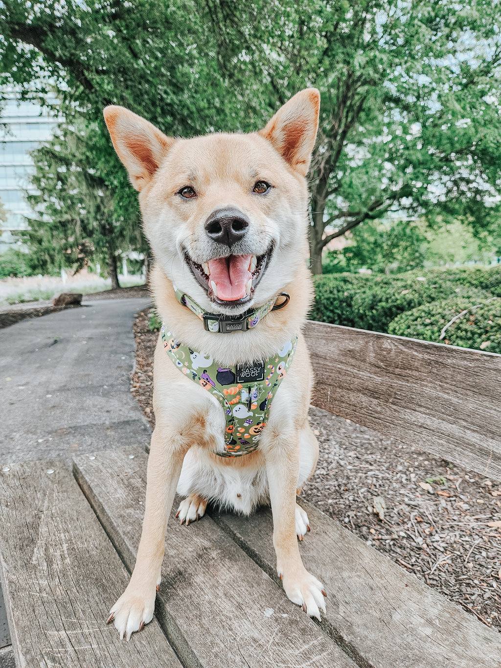 Dog Adjustable Harness - Haunt Mess