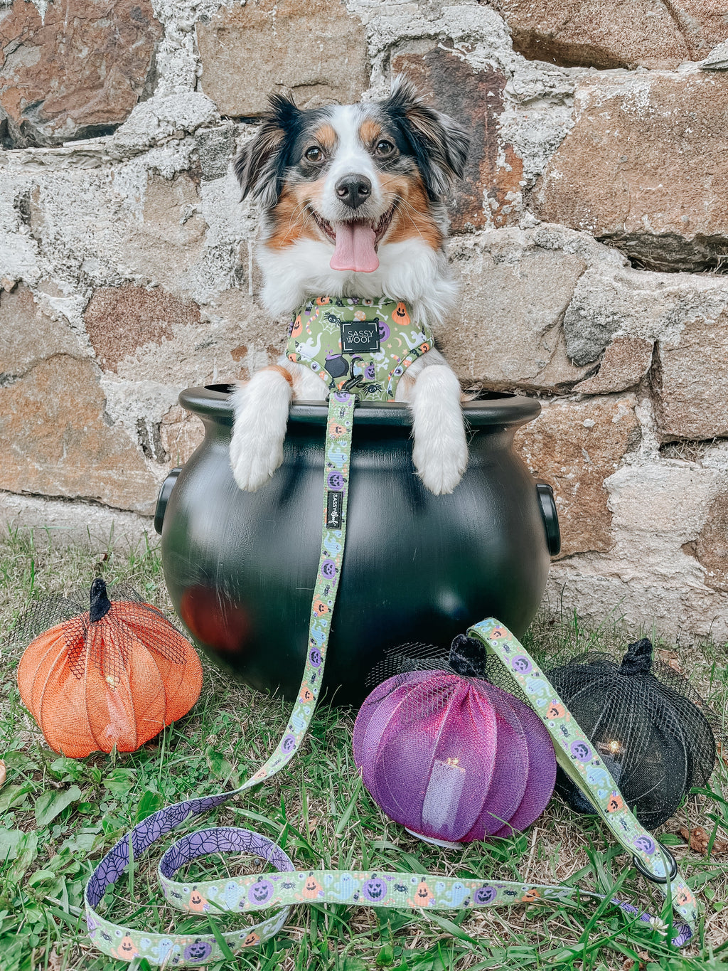 Dog Adjustable Harness - Haunt Mess